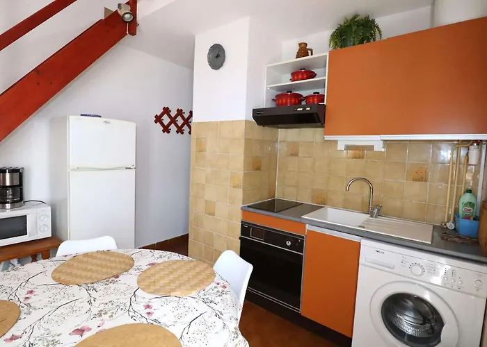 Apartamento Maison P2 Mezzanine, Terrasse, Proche Et Commerces, Parking Securise Au Grau-du-roi - Fr-1-307-142